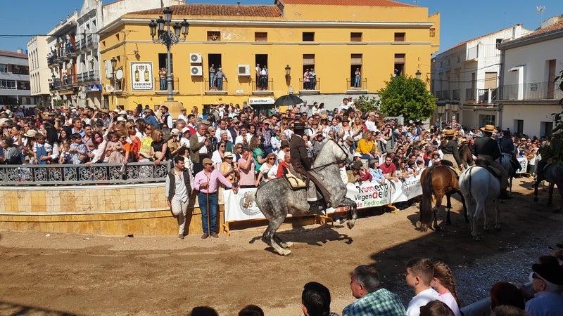 La pasión por los caballos sumó belleza a la Romería de Piedraescrita