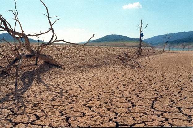 Tierra cuarteada a causa de la sequía. :: hoy