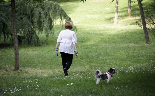 Una mujer pasea con su perro en Cáceres:: HOY