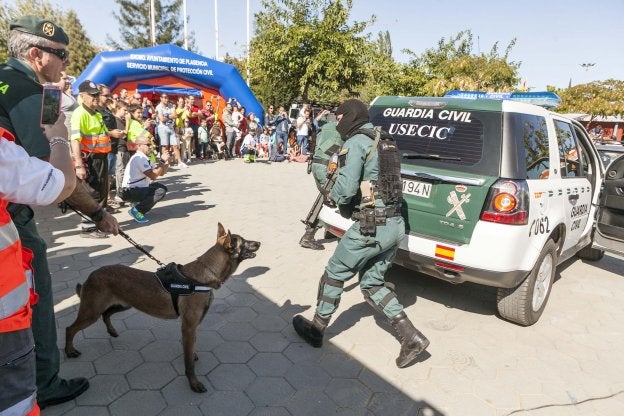 Durante la jornada del sábado se realizaron varias exhibiciones. :: j. r.