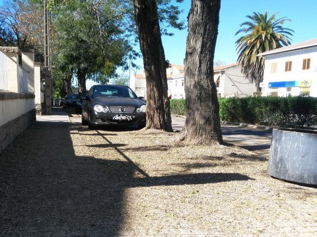 Una zona con malos olores por los excrementos. :: JSP/