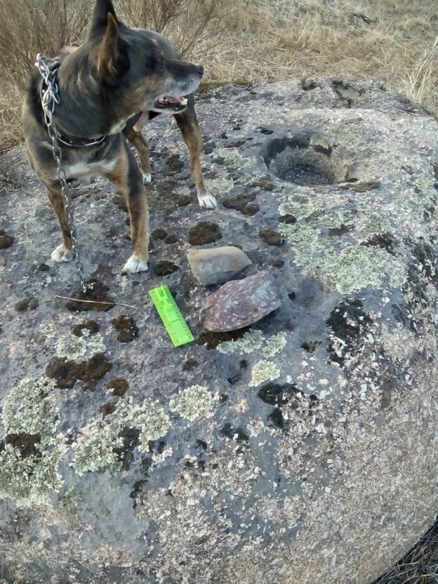 Roca con los grabados, 'custodiada' por el perro Rebelde. :: f. b./