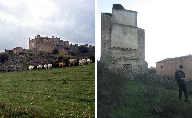 Zamarrillas fue misteriosamente abandonada. ::