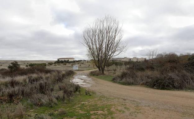 Camino rural:: HOY/