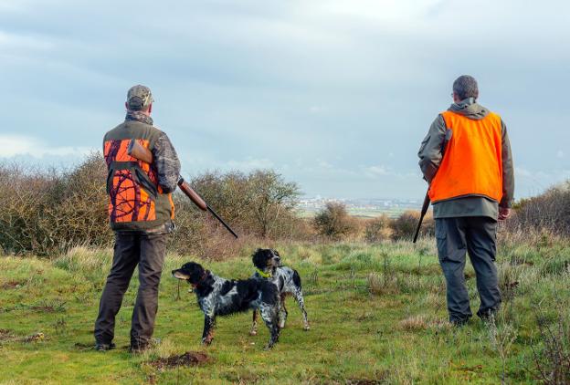 Cazadores con sus perros en una jornada de campo :: FEDEXCAZA/