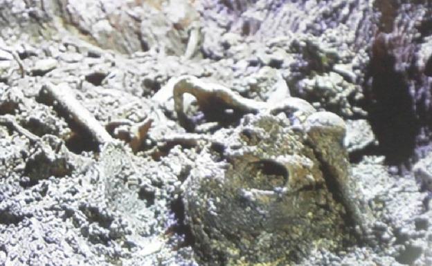 Restos óseos hallados en Valencia de Alcántara.
