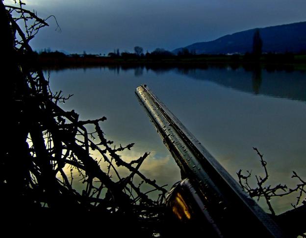 Arma de caza. :: PEDRO NUHIN/