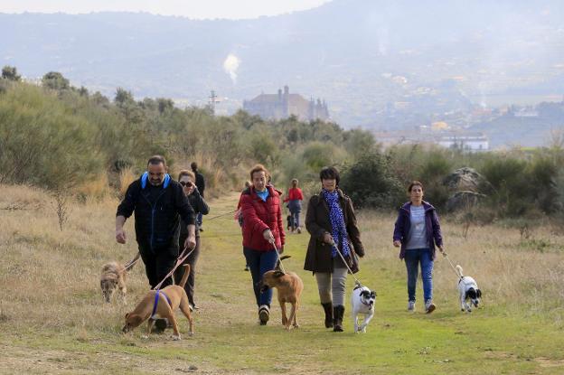 Voluntarios pasean a perros acogidos en la perrera municipal. :: a. s./