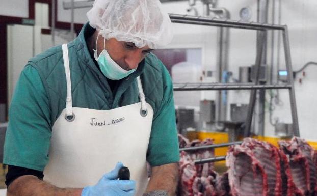 Despiece de carnes de ibéricos en las instalaciones de Señorío de Montanera, en Salvaleón. :: /BRÍGIDO