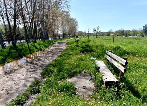 Paseo fluvial a su paso por la ciudad. :: Karpint/