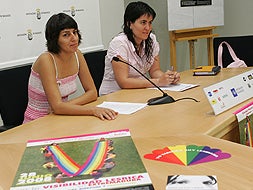 Miembros del Foro Extremeño por la Diversidad Afectivo Sexual de Extremadura en una rueda de prensa que han ofrecido esta mañana en la Diputación Provincial. / SANTI RODRÍGUEZ/