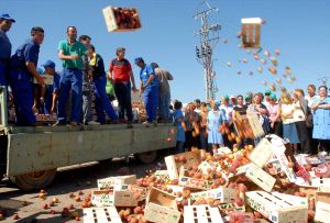 El sector de la fruta responsabiliza al Gobierno de las pérdidas que acumula