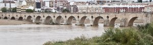 El río Guadiana baja más alegre gracias a las lluvias caídas durante los primeros días de noviembre. :: PAKOPÍ/