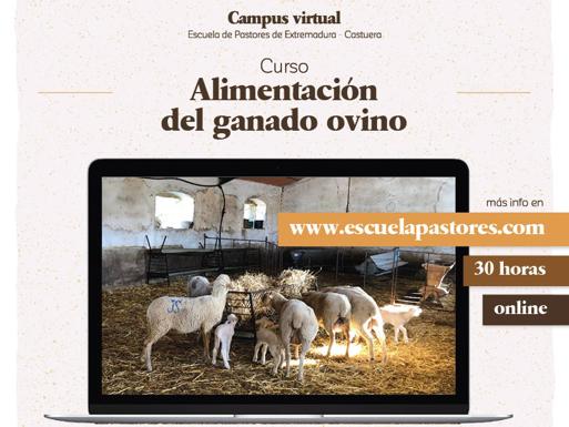 Campues virtual Escuela de Pastores /cedida