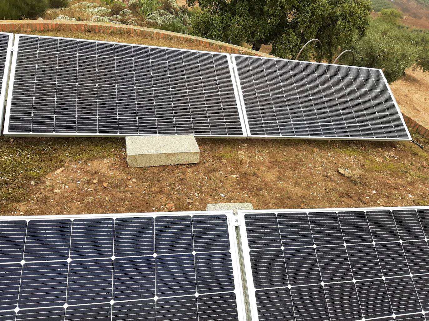 Placas solares instaladas en Cristina./promedio