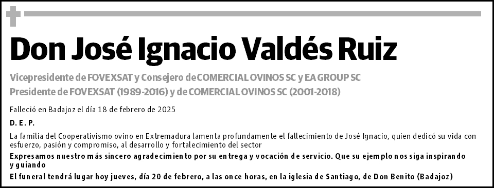 José Ignacio Valdés Ruiz