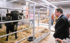 Luis Planas asistió ayer a la FIGAN 2019 en la Feria de Zaragoza. :: efe/