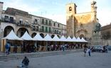Ambiente de la Feia del Libro en una edición anterior. :: JSP/