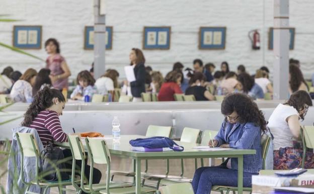 Educación convoca las oposiciones de maestro para el acceso a 710 plazas de las ocho especialidades
