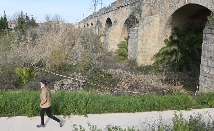 La Confederación elimina la vegetación del Puente de Palmas