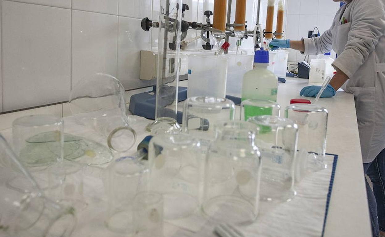 Cómo hacer una prueba de triquinosis