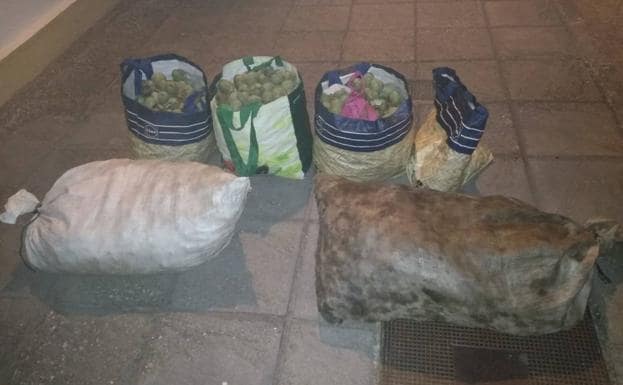 Sorprenden a cuatro individuos tras robar 120 kilos de nueces en Pueblonuevo del Guadiana