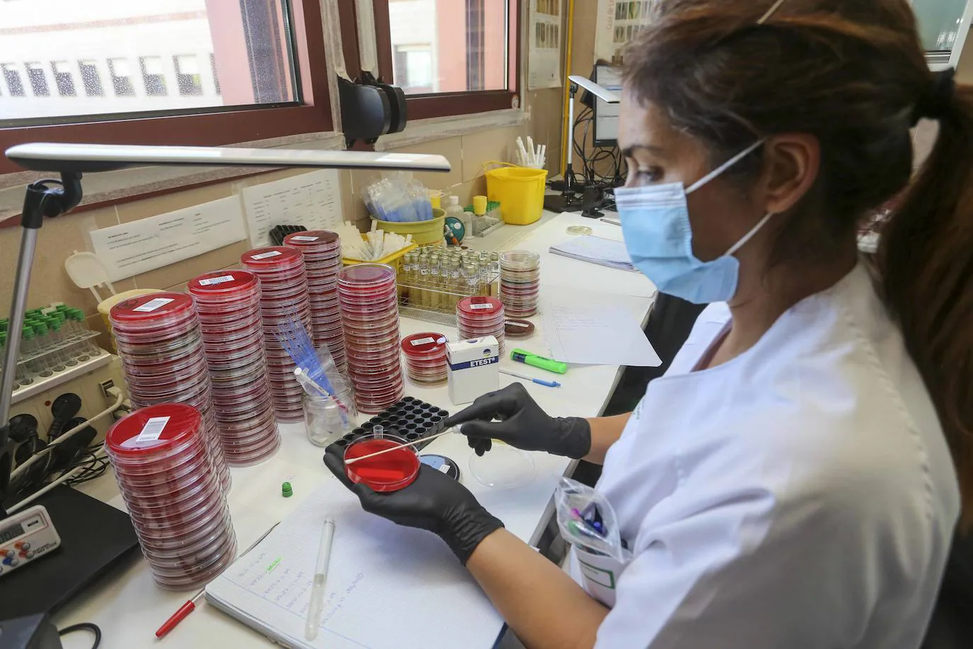 Reactivos. El laboratorio del Hospital de Mérida saca adelante más de seiscientas pruebas PCR cada día.