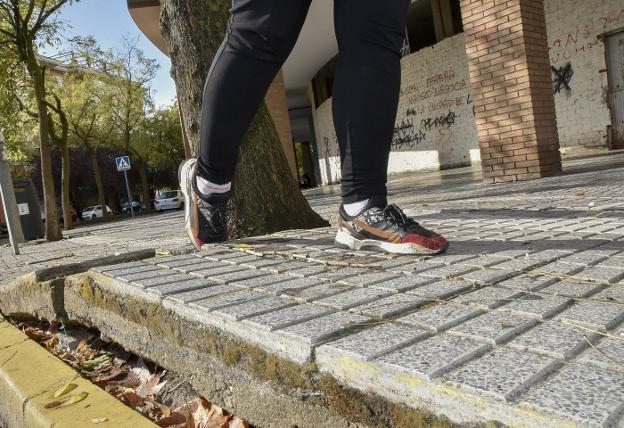 Un desnivel en una acera provocado por el crecimiento de las ramas de un árbol. / CASIMIRO MORENO
