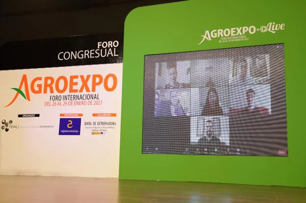 Los cuatros jóvenes premiados, durante su participación en la jornada de ayer. / Estrella Domeque