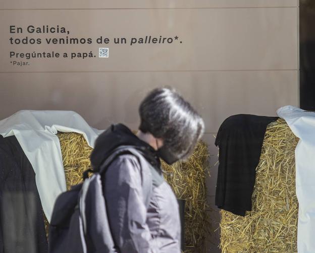 Escaparate de la tienda de Adolfo Domínguez en Cáceres. / JORGE REY