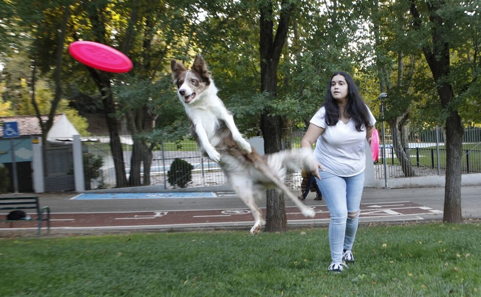 Jara Clemente entrenando con su perra Onza en el parque del Príncipe hace unos días. /ARMANDO MÉNDEZ
