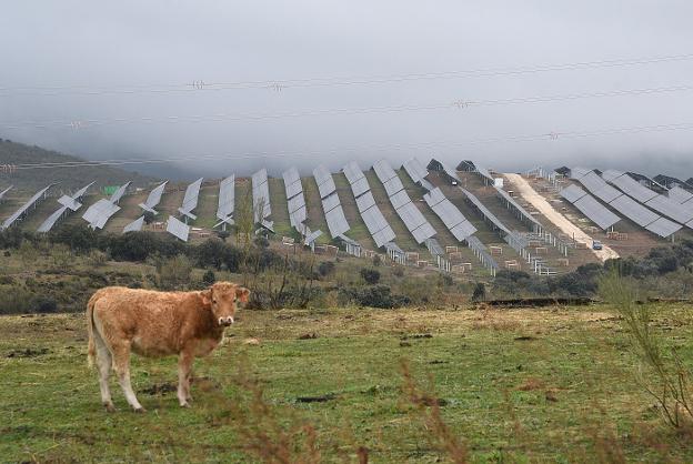 La Solana, la primera planta fotovoltaica de Plasencia, comenzará a funcionar a principios de 2022. / DAVID PALMA