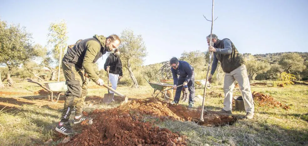 Cien árboles más para La Montaña