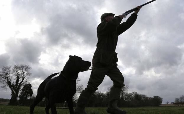 Cómo obtener un permiso de caza