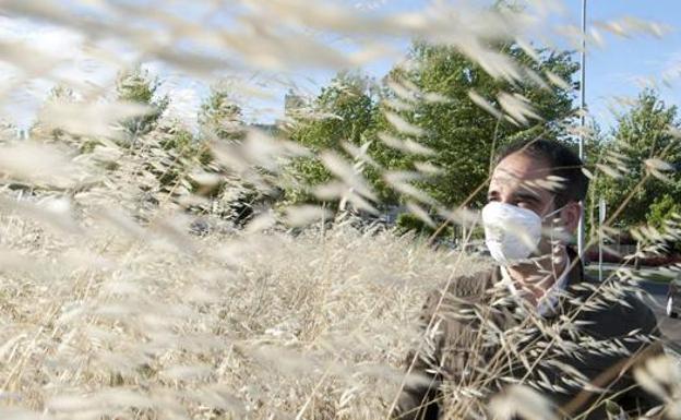Alerta roja para los alérgicos en Extremadura