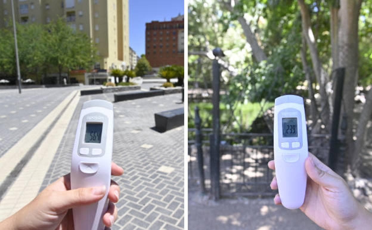 Los árboles reducen más de 20 grados la temperatura de las calles de  Badajoz | Hoy