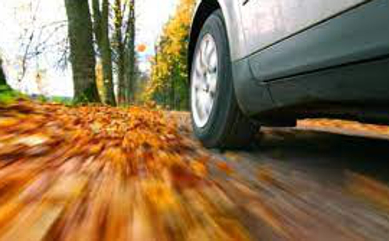 It is advisable to check the car before the arrival of autumn