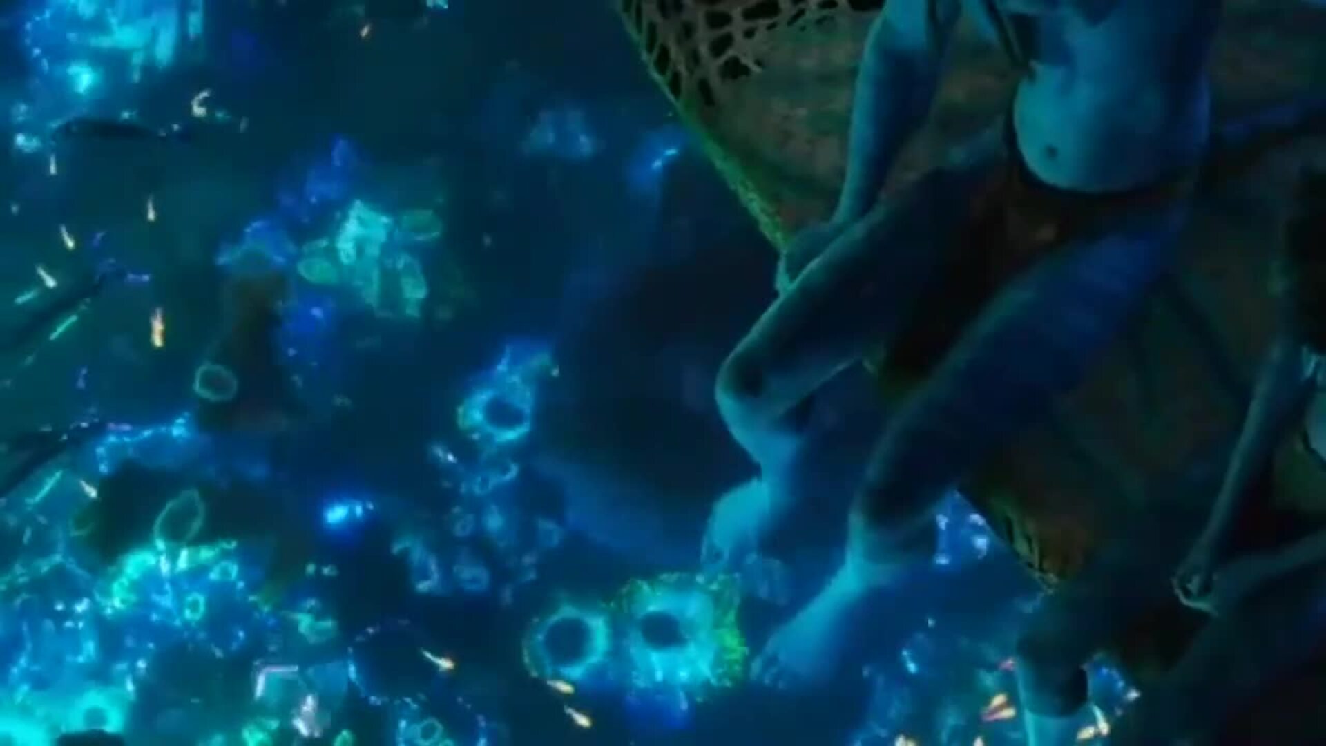 Avatar 2 El Sentido Del Agua Presenta Su Tráiler Oficial Hoy 7086