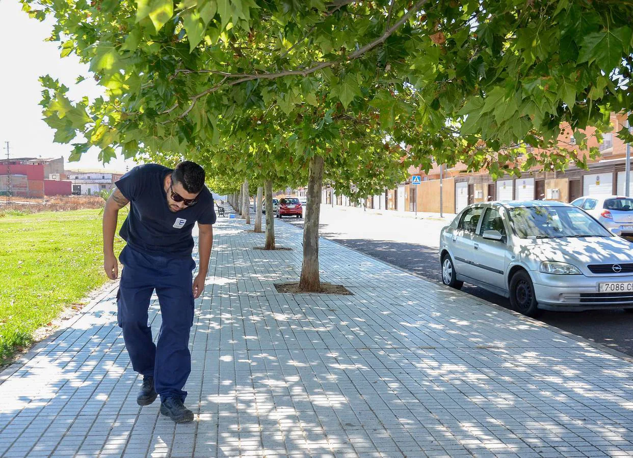 Los árboles se cuelan en los balcones e irrumpen en aceras y calzadas | Hoy