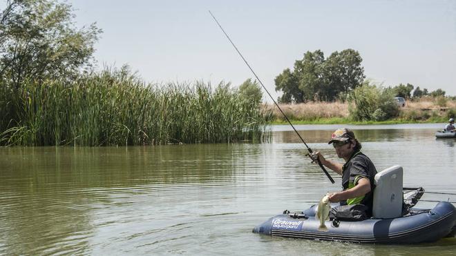 Black Bass Amazon Es